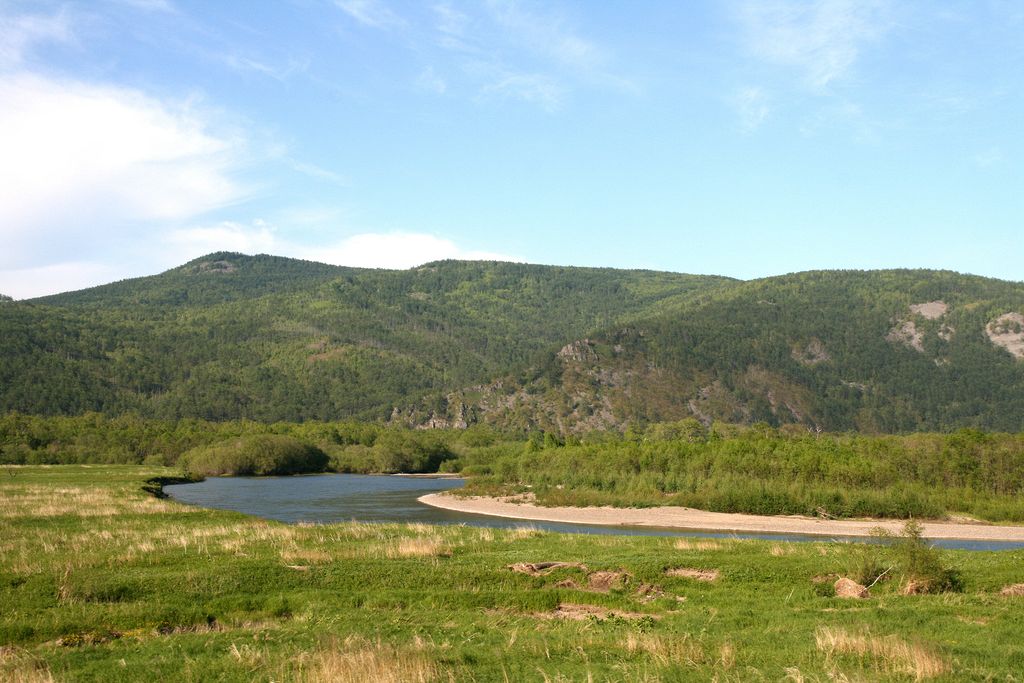 Vanino